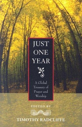 Tapa de Just One Year