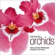 Tapa de Introducing orchids