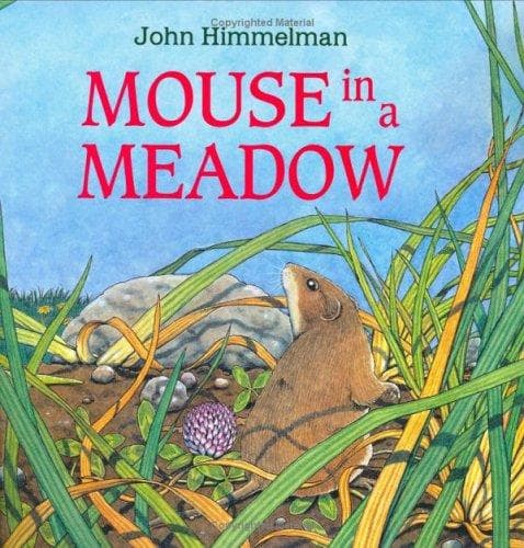 Tapa de Mouse in a Meadow