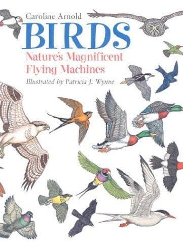 Tapa de Birds