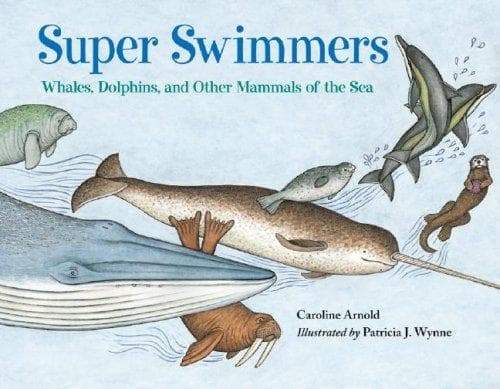 Tapa de Super Swimmers