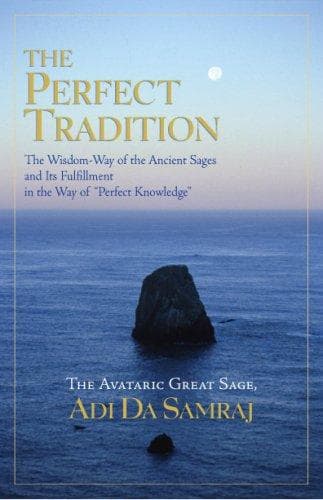 Tapa de The Perfect Tradition