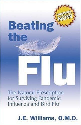 Tapa de Beating the Flu