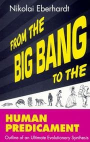 Tapa de From the big bang to the human predicament