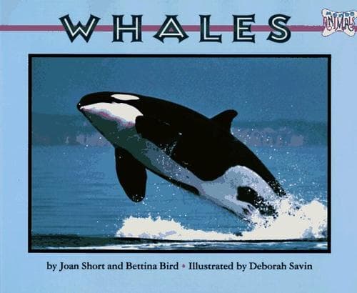 Tapa de Whales