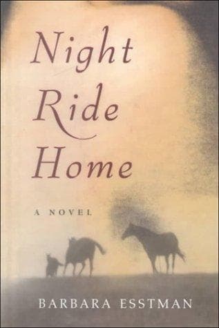 Tapa de Night ride home