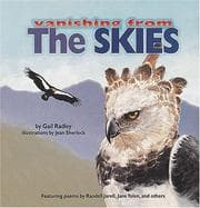 Tapa de The Skies (Vanishing from)