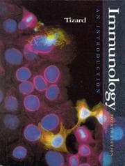 Tapa de Immunology