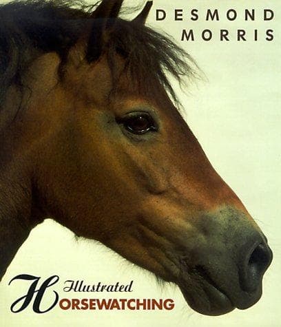 Tapa de Illustrated Horsewatching