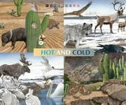 Tapa de Animals in hot and cold habitats