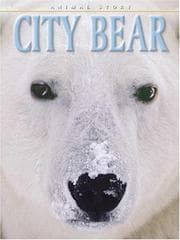 Tapa de City Bear