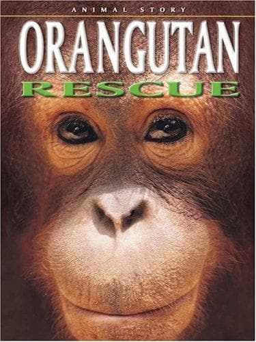 Tapa de Orangutan Rescue