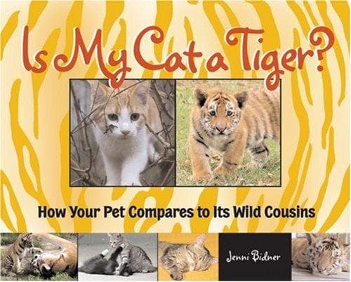 Tapa de Is My Cat a Tiger?