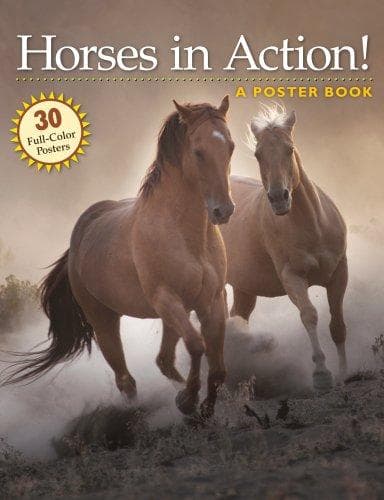Tapa de Horses in Action!