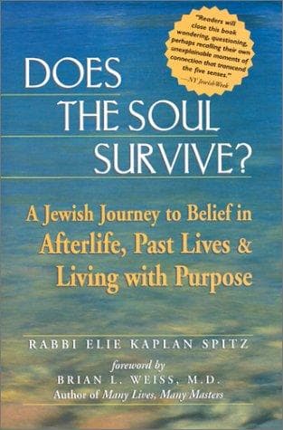 Tapa de Does the Soul Survive
