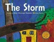 Tapa de The storm