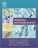 Tapa de Medical Microbiology