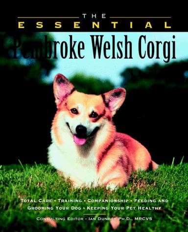 Tapa de The essential Pembroke Welsh corgi