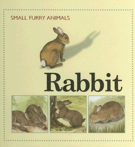 Tapa de Rabbit (Small Furry Animals)