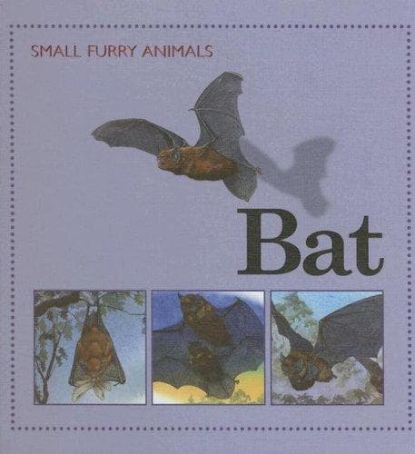 Tapa de Bat (Small Furry Animals)