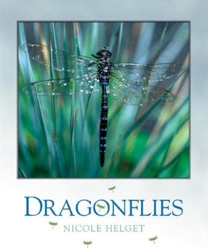 Tapa de Dragonflies (Bugbooks)