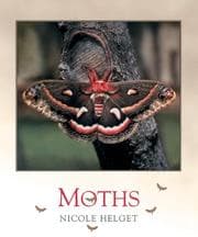 Tapa de Moths (Bugbooks)