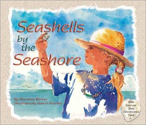 Tapa de Seashells by the seashore