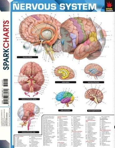Tapa de Nervous System