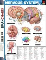 Tapa de Nervous System