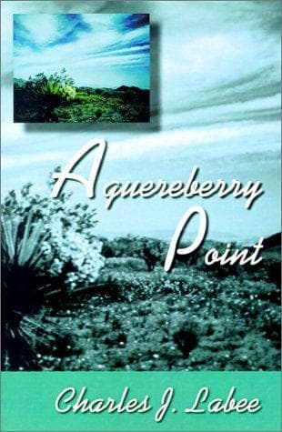Tapa de Aguereberry Point