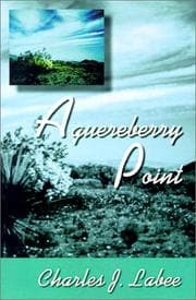 Tapa de Aguereberry Point