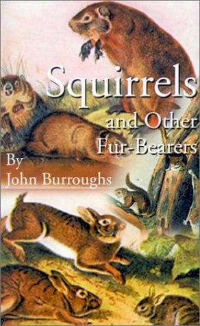 Tapa de Squirrels and other fur-bearers