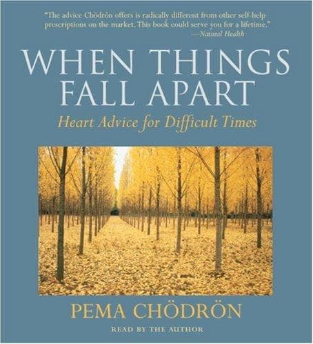 Tapa de When Things Fall Apart