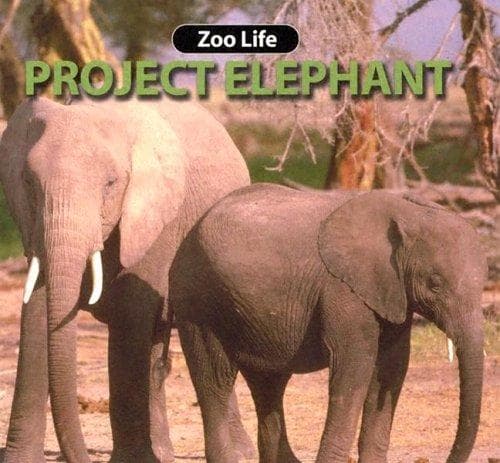Tapa de Project Elephant (Zoo Life)