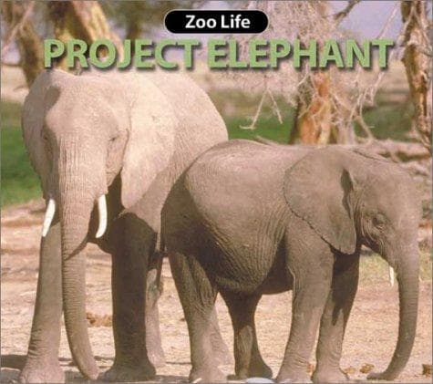 Tapa de Project Elephant