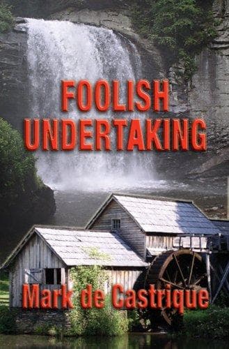 Tapa de Foolish Undertaking