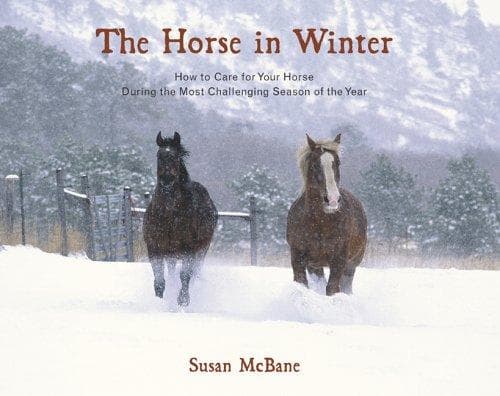 Tapa de The horse in winter