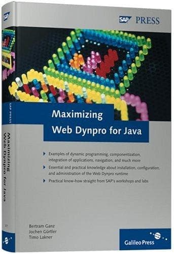 Tapa de Maximizing Web Dynpro for Java