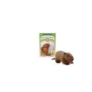 Tapa de Busy Little Beaver (Read and Discover)