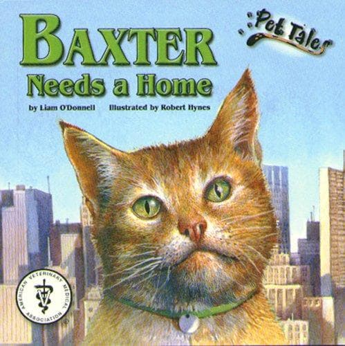 Tapa de Baxter needs a home