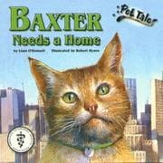 Tapa de Baxter needs a home