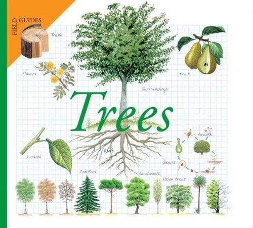 Tapa de Trees (Field Guides)
