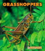 Tapa de Grasshoppers (New Naturebooks)