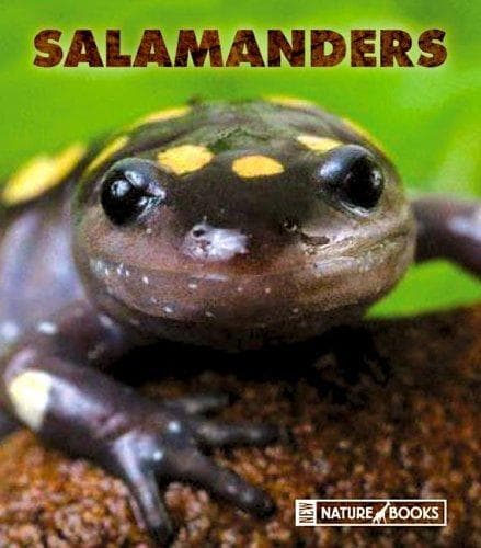 Tapa de Salamanders (New Naturebooks)