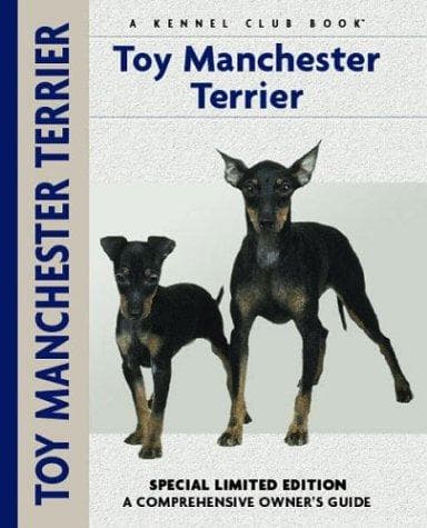 Tapa de Toy Manchester Terrier