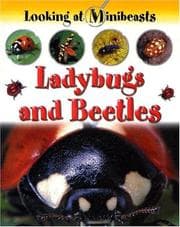 Tapa de Ladybugs and Beetles (Looking at Minibeasts)