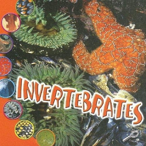 Tapa de Invertebrates