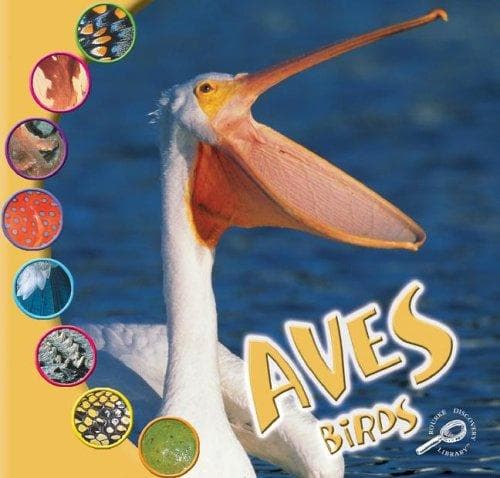 Tapa de Aves