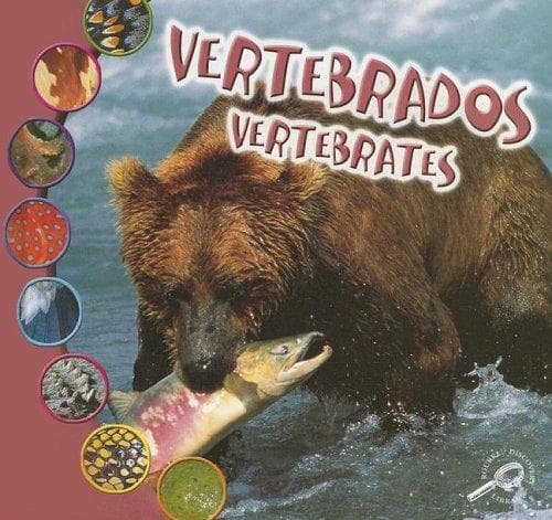 Tapa de Vertebrates
