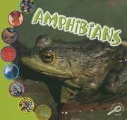 Tapa de Amphibians (What Is An Animal?)